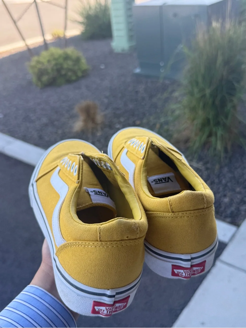 Vans Yellow Canvas Low-Top Sneakers